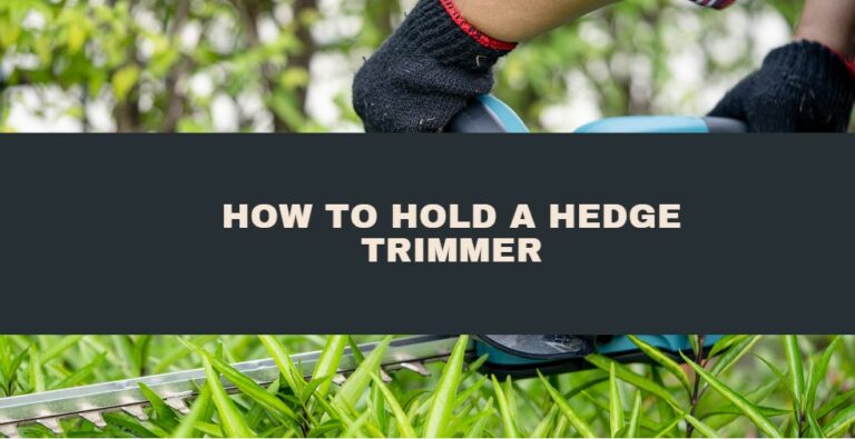 How to Hold a Hedge Trimmer